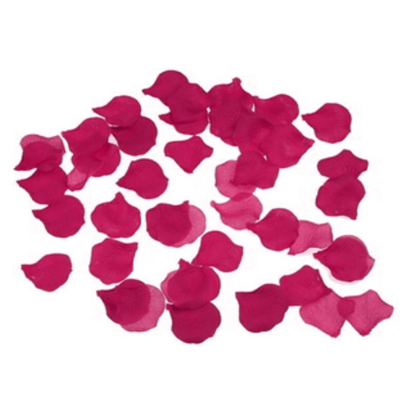 DIABLO PICANTE - 100 PÉTALES DE FUCHSIA