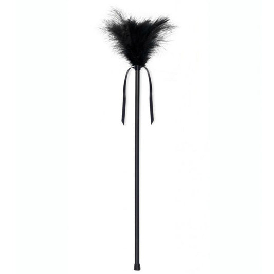 SECRETPLAY - PLUMES NOIRES 40 CM